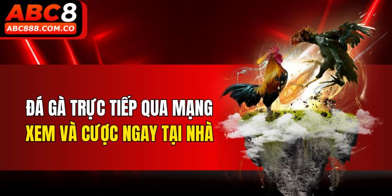 Đá Gà Trực Tiếp Qua Mạng - Xem Và Cược Ngay Tại Nhà