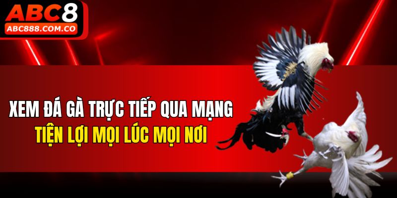 Xem đá gà trực tiếp qua mạng tiện lợi mọi lúc mọi nơi